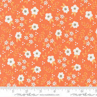 PRESALE Birch and Willow Mums Pumpkin Yardage by Sherri & Chelsi for Moda Fabrics | 37725 14