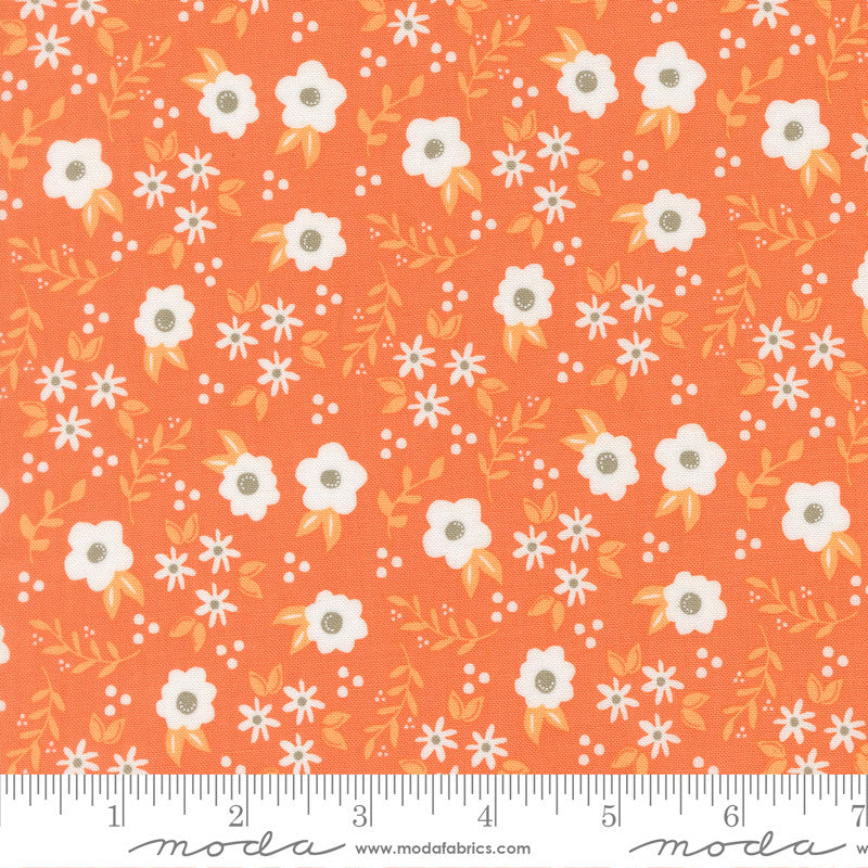 PRESALE Birch and Willow Mums Pumpkin Yardage by Sherri & Chelsi for Moda Fabrics | 37725 14