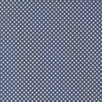 PRESALE Raspberry Summer Gingham Blueberry Yardage by Sherri & Chelsi for Moda Fabrics | 37697 20