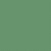 American Jane Pindots Grass by American Jane for Riley Blake Designs | C840-GRASS