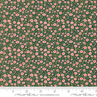 PRESALE Garden Glam Wild N Free Teal Yardage by Lella Boutique for Moda Fabrics | 5271 18