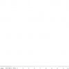 American Jane Pindots White on White by American Jane for Riley Blake Designs | C845-WHITE