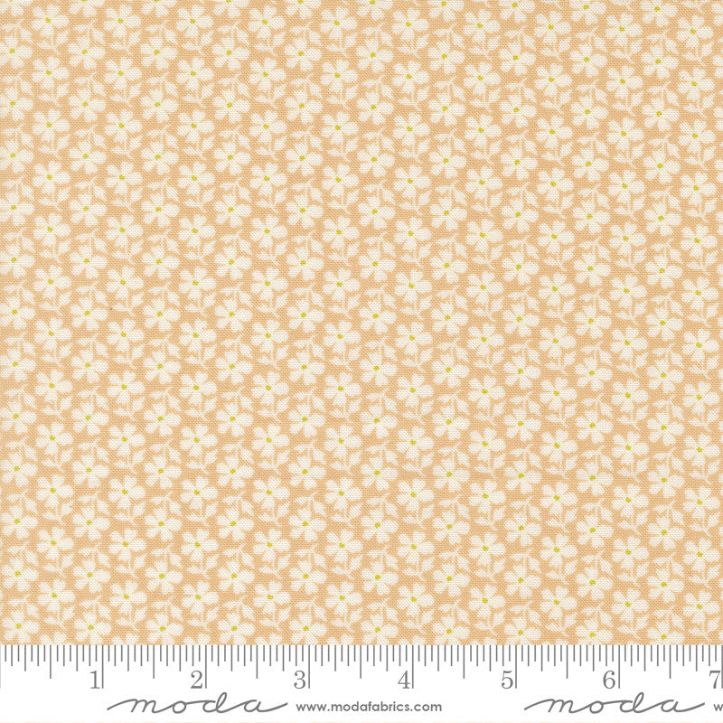 Summers End Daisies Almond Pie Yardage by Fig Tree & Co for Moda Fabrics | 35434 15