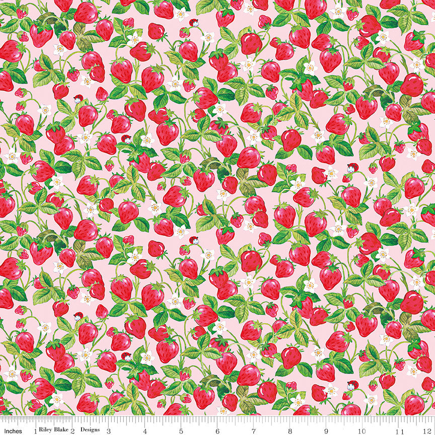 PRESALE The World of Strawberry Shortcake Strawberries Pink Yardage for Riley Blake Designs | C18564-PINK