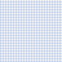 PRESALE Penelope Gingham Sky Yardage by My Mind's Eye for Riley Blake Designs | C16644-SKY