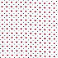 PRESALE Star Spangled Folk Stars Patriotic by April Rosenthal of Prairie Grass for Moda Fabrics | 24174 11