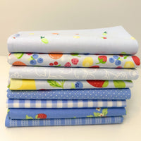 Fruit Salad Custom Fat Quarter Bundle Light Blue by Corey Yoder for Moda Fabrics | 8 FQs | Curated Bundle