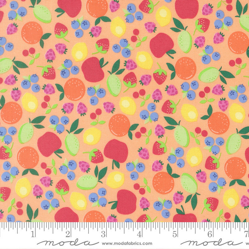 Fruit Salad Fruit Cup Cantaloupe Yardage by Corey Yoder for Moda Fabrics | 29242 15