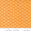 PRESALE Raspberry Summer Apricot Yardage by Sherri & Chelsi for Moda Fabrics | 37696 24