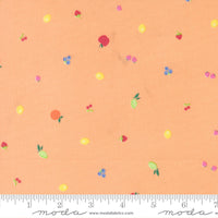 Fruit Salad Fruit Snack Cantaloupe Yardage by Corey Yoder for Moda Fabrics | 29244 15