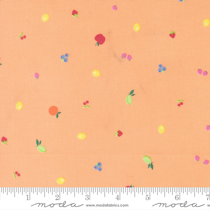 Fruit Salad Fruit Snack Cantaloupe Yardage by Corey Yoder for Moda Fabrics | 29244 15
