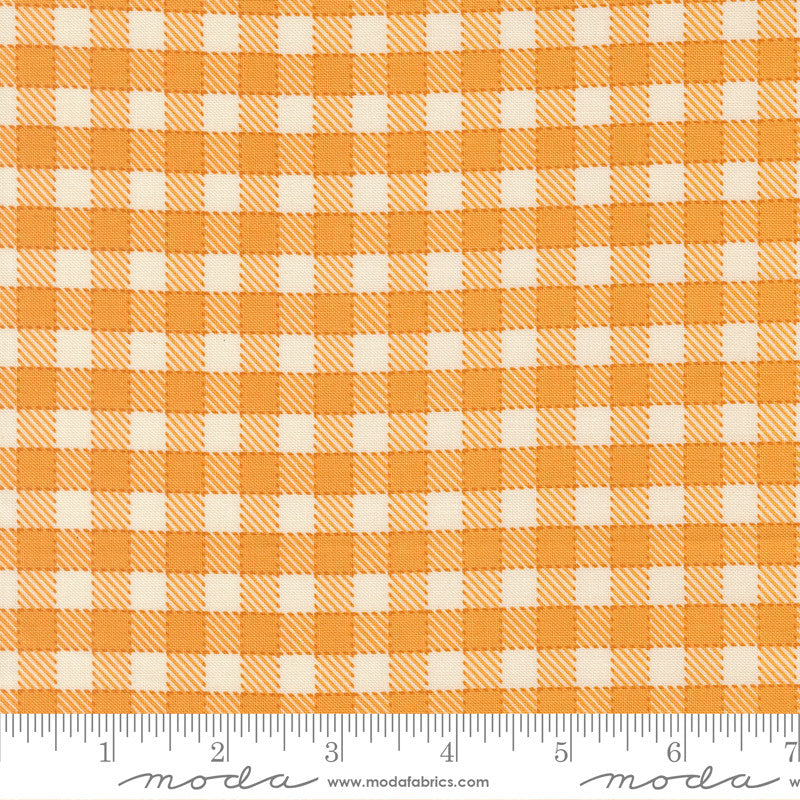 Animal Park Fun Baby Check Canary Yardage by Stacy Iest Hsu for Moda Fabrics | 20966 18