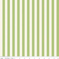 PRESALE The World of Strawberry Shortcake Stripes Green Yardage for Riley Blake Designs | C18565-GREEN