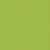 American Jane Pindots Lime by American Jane for Riley Blake Designs | C840-LIME