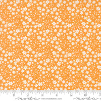 Raspberry Summer Blossom Apricot Yardage by Sherri & Chelsi for Moda Fabrics | 37693 14