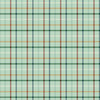 Plaid-Venture Club Camper Fern Yardage by The RBD Designers for Riley Blake Designs | C17047-FERN