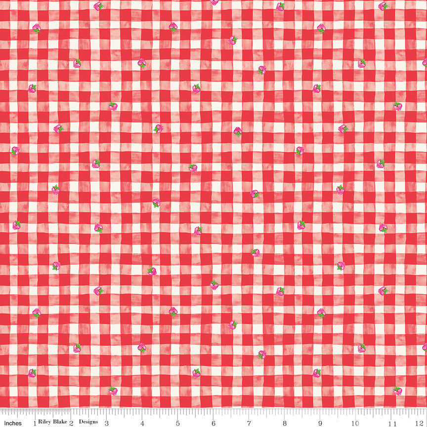 PRESALE The World of Strawberry Shortcake Gingham Red Yardage for Riley Blake Designs | C18562-RED