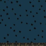 Starry Smoke Yardage by Alexia Marcelle Abegg for Ruby Star Society and Moda Fabrics | RS4109 45