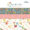 Albion 2.5" Rolie Polie by Amy Smart for Riley Blake Designs | RP-14590-40 Precut Fabric Bundle