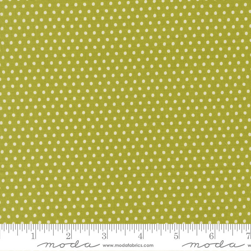 PRESALE Animal Park Fun Dotty Dot Iguana Yardage by Stacy Iest Hsu for Moda Fabrics | 20967 16