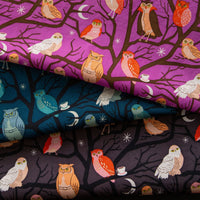 PRESALE Freaky Familiars Custom Fat Quarter Bundle Who Cooks for You by Ruby Star Society | 3 FQs | Curated Bundle