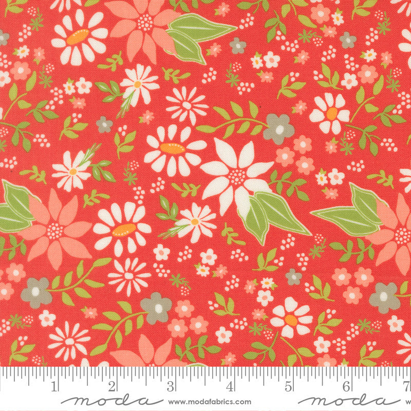 PRESALE Poinsettia and Pear Poinsettia Geranium Yardage by Sherri & Chelsi for Moda Fabrics | 37710 16