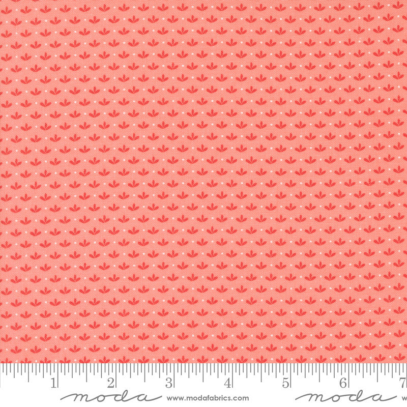 PRESALE Raspberry Summer Sprout Carnation Yardage by Sherri & Chelsi for Moda Fabrics | 37694 12