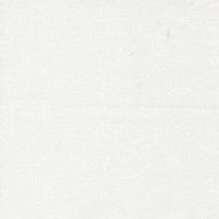 PRESALE Fruit Salad Fruit Sketch Off White White Yardage by Corey Yoder for Moda Fabrics | 29241 11