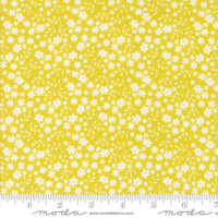 PRESALE Raspberry Summer Blossom Summer Yardage by Sherri & Chelsi for Moda Fabrics | 37693 16