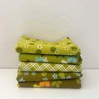Happy Daze Custom Fat Quarter Bundle Green by Chloe’s Closet for Moda Fabrics | 5 FQs | Curated Bundle