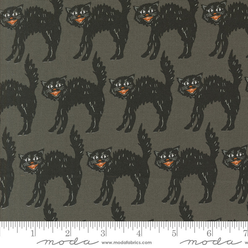 Home Sweet Haunt Little Black Cat Stone by Stacy Iest Hsu for Moda Fabrics | 20915 12