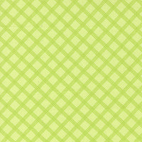 PRESALE Joysome Charming Check Honeydew Yardage by Corey Yoder for Moda Fabrics | 29255 19