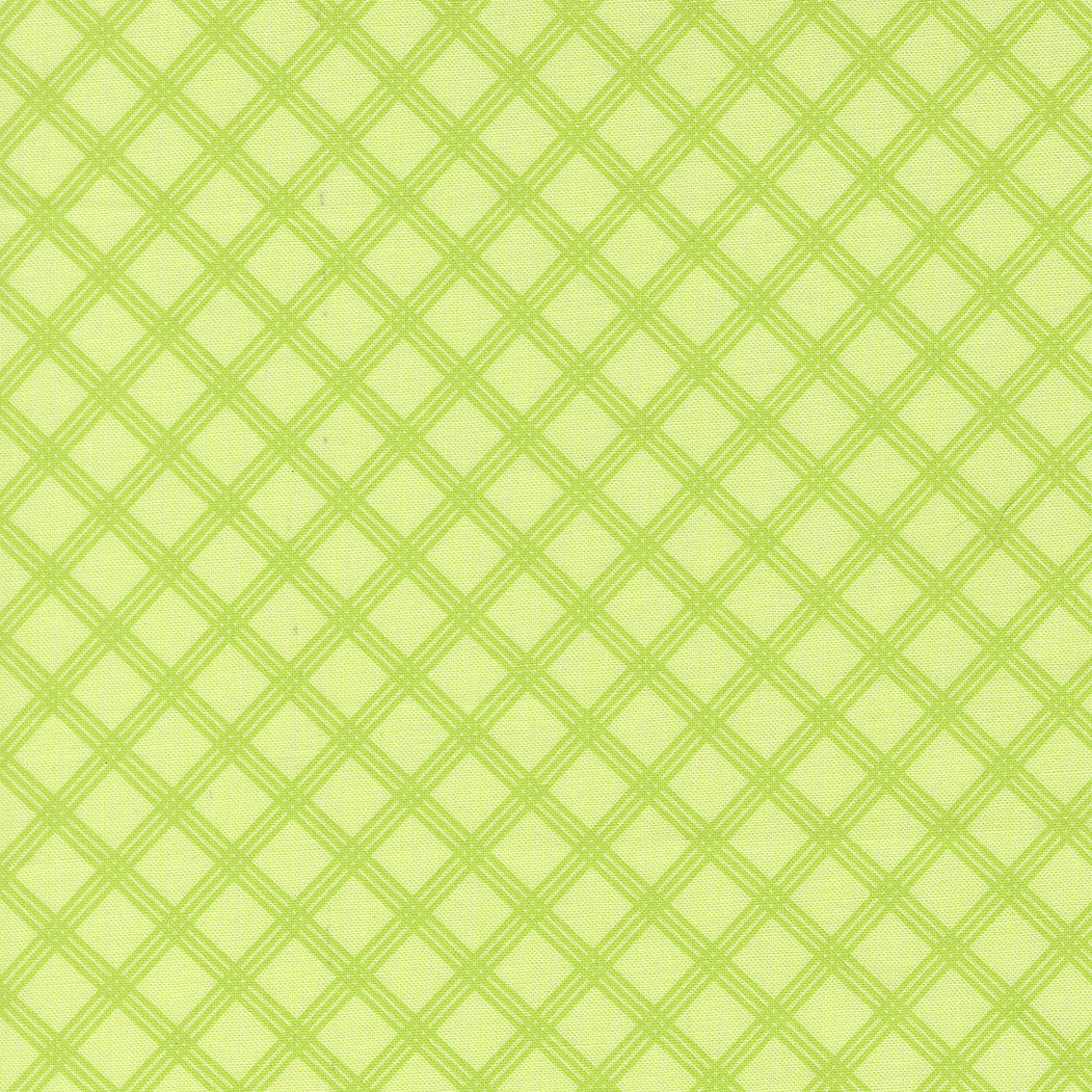 PRESALE Joysome Charming Check Honeydew Yardage by Corey Yoder for Moda Fabrics | 29255 19