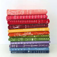 Rainbow Fabric Bundle | TYPE/ography by Lori Holt of Bee in my Bonnet | 12 Pieces |  Curated Fat Quarter or Half Yard Bundle