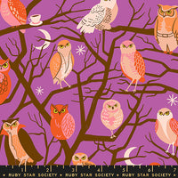 PRESALE Freaky Familiars Who Cooks For You Witchy Yardage by Ruby Star Society | RS5190 11