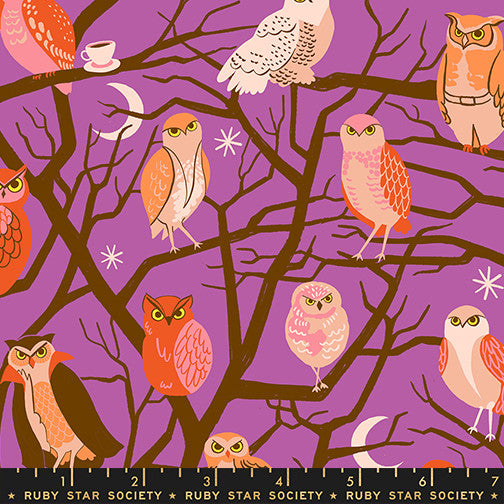 PRESALE Freaky Familiars Who Cooks For You Witchy Yardage by Ruby Star Society | RS5190 11