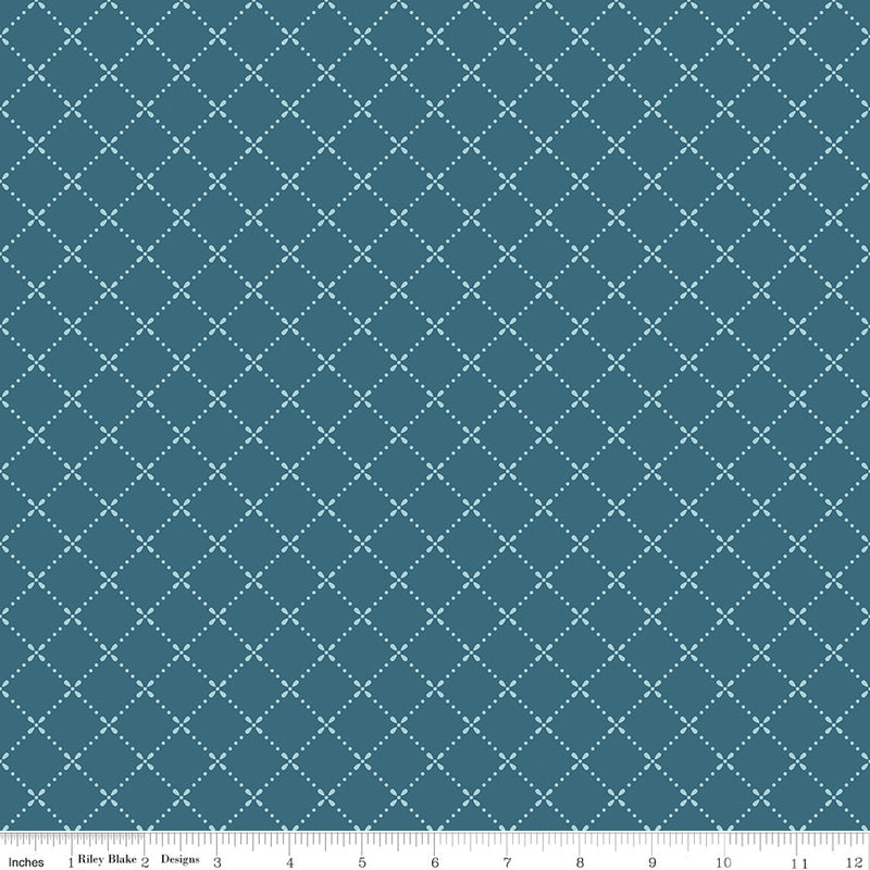 Mary Catherine Grid Stargazer Yardage by Amy Smart for Riley Blake Designs | C16704-STARGAZER