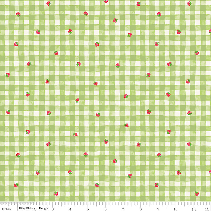 PRESALE The World of Strawberry Shortcake Gingham Green Yardage for Riley Blake Designs | C18562-GREEN