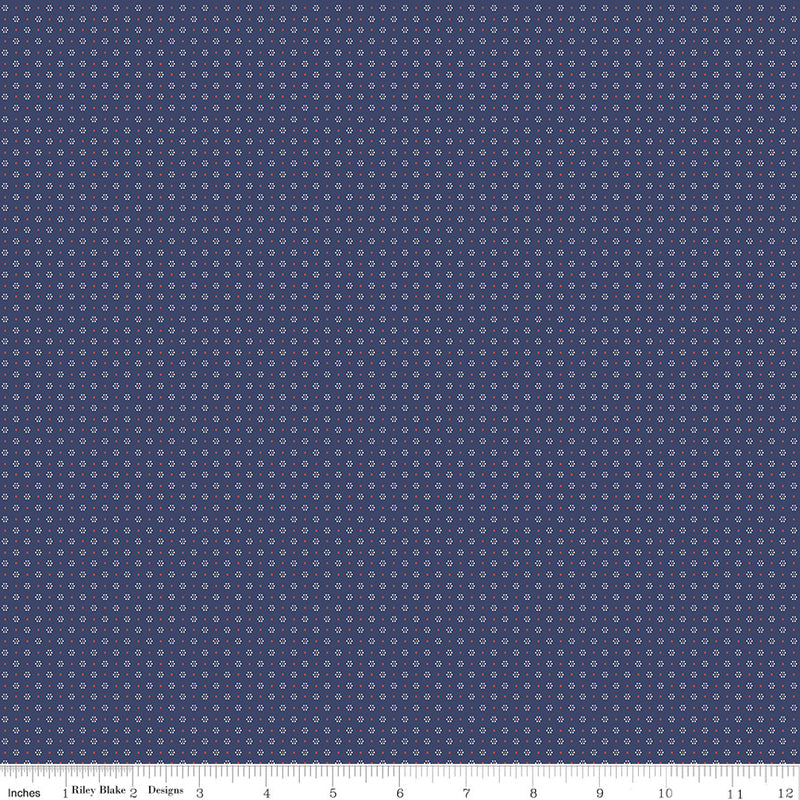 Always in Season Sprinkles Navy by American Jane for Riley Blake Designs  | C15102-NAVY