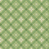 Wide Back Home Town Holiday Holly Raindrop Yardage by Lori Holt | Wide Quilt Backing Fabric | WB14927-LETTUCE