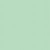 POParazzi Hint of Mint Yardage by RBD Designers for Riley Blake Designs | C805-HINTOFMINT