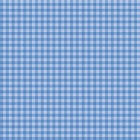 PRESALE Penelope Gingham Blue Yardage by My Mind's Eye for Riley Blake Designs | C16644-BLUE