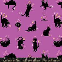 PRESALE Freaky Familiars Catwalk Witchy Yardage by Ruby Star Society | RS5193 13