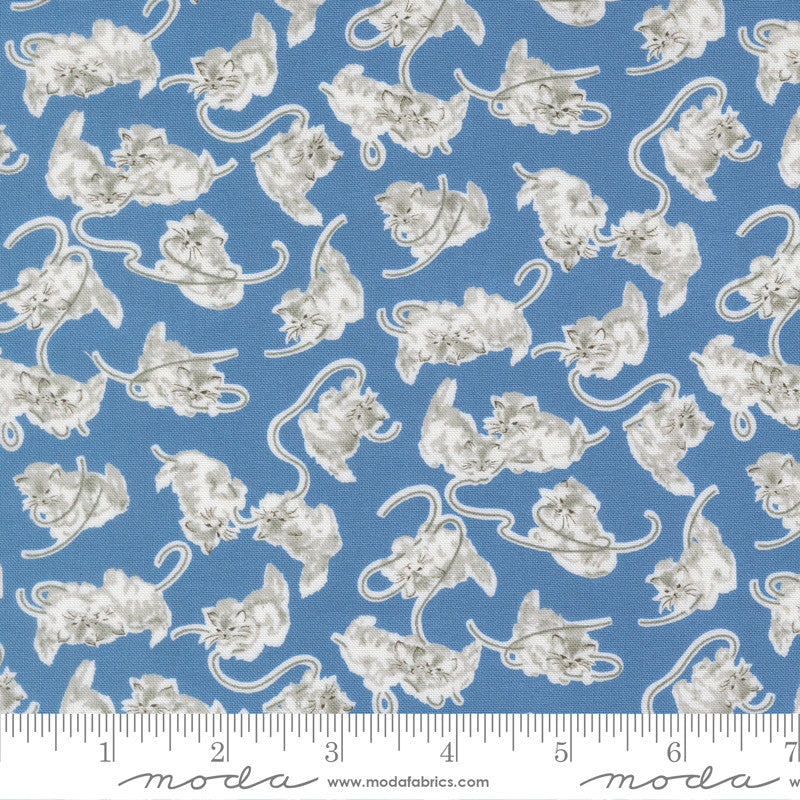 A Cat Named Stitch Georgie Blue Yardage by Camille Roskelley for Moda Fabrics | 55341 13