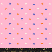 PRESALE Best Day Ever Posy Yardage by Melody Miller for Ruby Star Society | RS0091 19