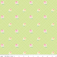 Summer Skies and Fireflies Cone Flowers Lime Yardage by Gracey Larson for Riley Blake Designs | C16372-LIME