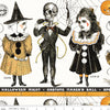 Costume Maker's Act II Costume Border Stripe White Yardage by J. Wecker Frisch for Riley Blake Designs | CD16004-WHITE