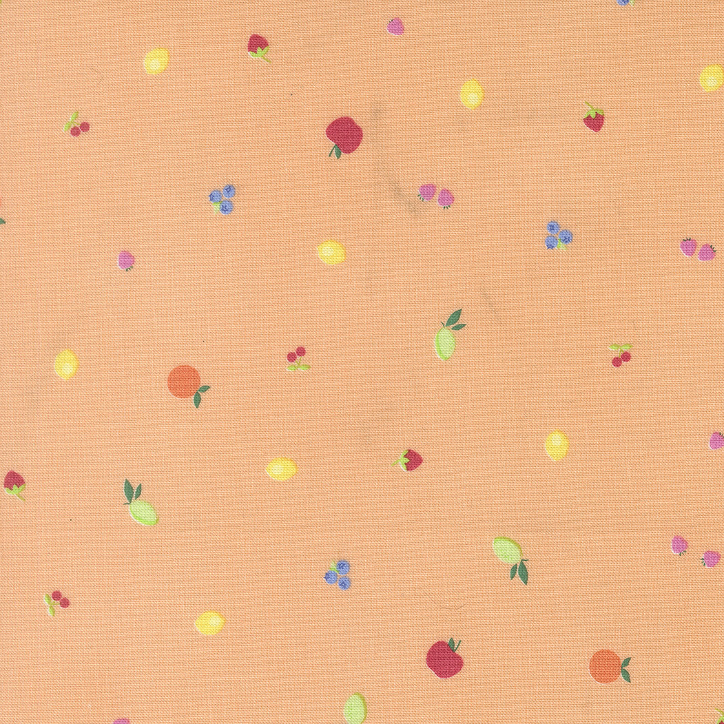Fruit Salad Fruit Snack Cantaloupe Yardage by Corey Yoder for Moda Fabrics | 29244 15