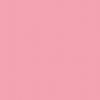 POParazzi Peony Yardage by RBD Designers for Riley Blake Designs |  C805-PEONY