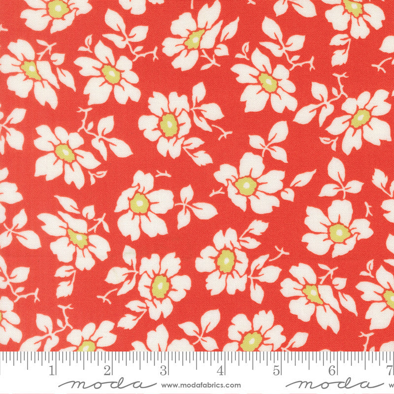 Summers End Cosmos Persimmon Yardage by Fig Tree & Co for Moda Fabrics | 35431 16